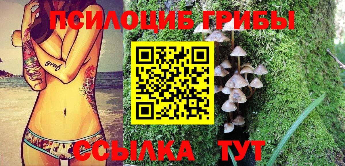 Псилоцибиновые грибы GOLDEN TEACHER Нижний Тагил