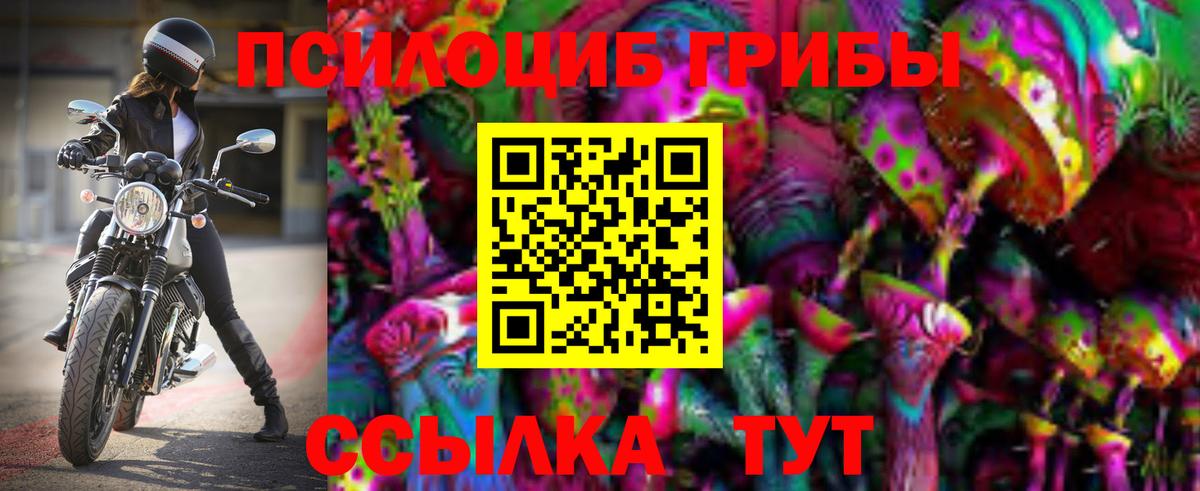 Галлюциногенные грибы Psilocybine cubensis  Галлюциногенные грибы прущие грибы  Нижний Тагил  Вход с VPN 